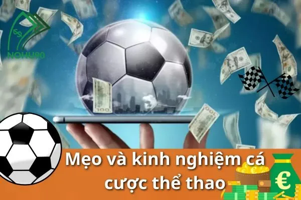 Các Môn Thể Thao Hot Nhất Để Cược tại Nhà Cái Nohu90 3 Môn Thể Thao Hot